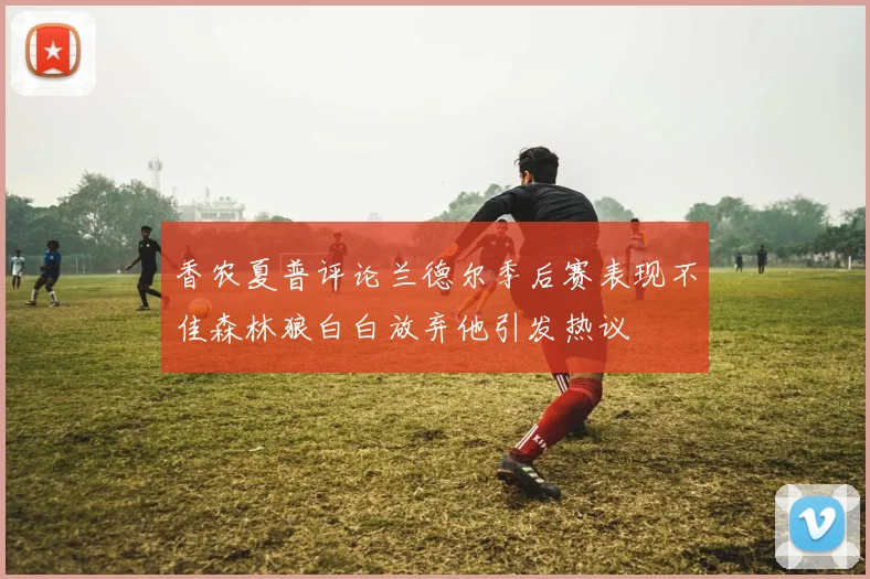 香农夏普评论兰德尔季后赛表现不佳森林狼白白放弃他引发热议